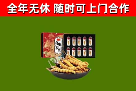 安平回收冬虫夏草价格