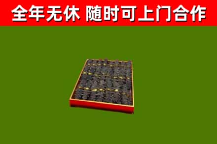 安平回收海参